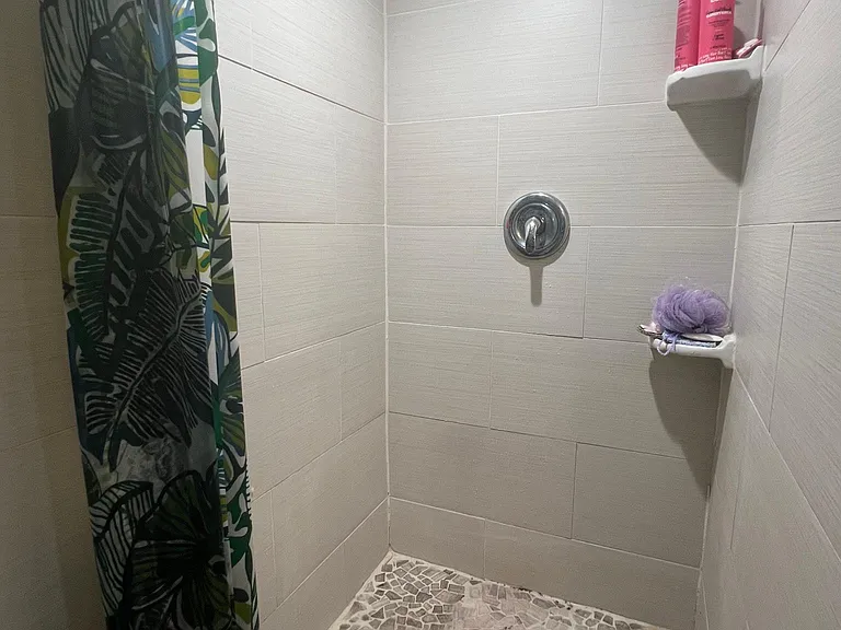 Lower Level Bathroom with Walk-in Shower