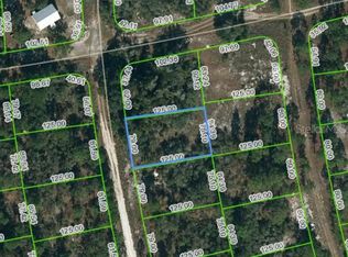 221 Fascination Dr #2, Lake Placid, FL 33852