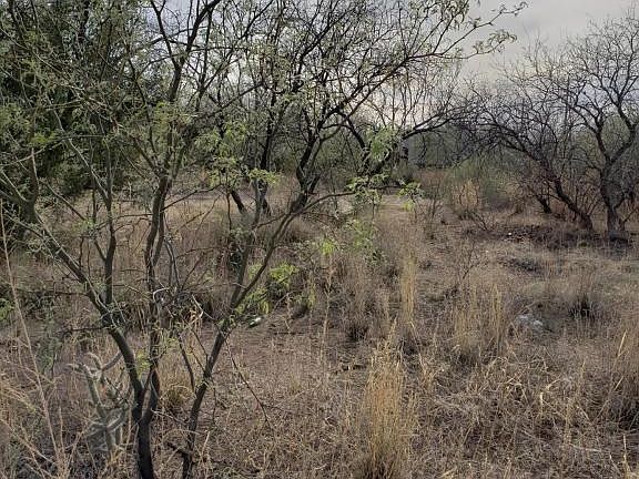 View from west side of lot