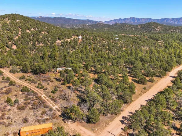 3325 L Path, Cotopaxi, CO 81223