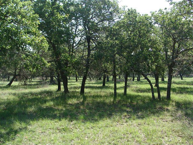 1st image of LOT-10C Vintage Oaks Dr