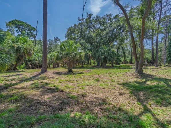 0 Palmetto Rd, Edisto Island, SC 29438