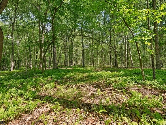 5th image of 0 Homestead Rd