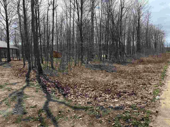 5727 Shady Ln, Harbor Springs, MI 49740