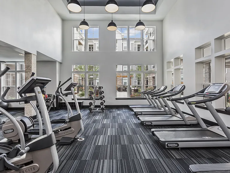 Fully-Equipped Fitness Center with Highly-Specialized Technogym Cardio Machines, Free Weights, Spin Bikes, and Individual Strength Training Machines