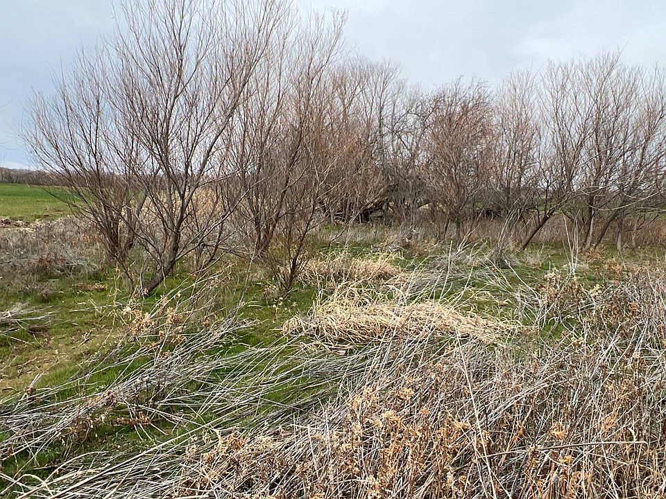 E1450 N 2100th Rd, Lone Wolf, OK 73655 MLS 11204297 Zillow