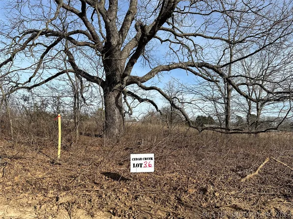 36 Redbird Ln, Colbert, OK 74733