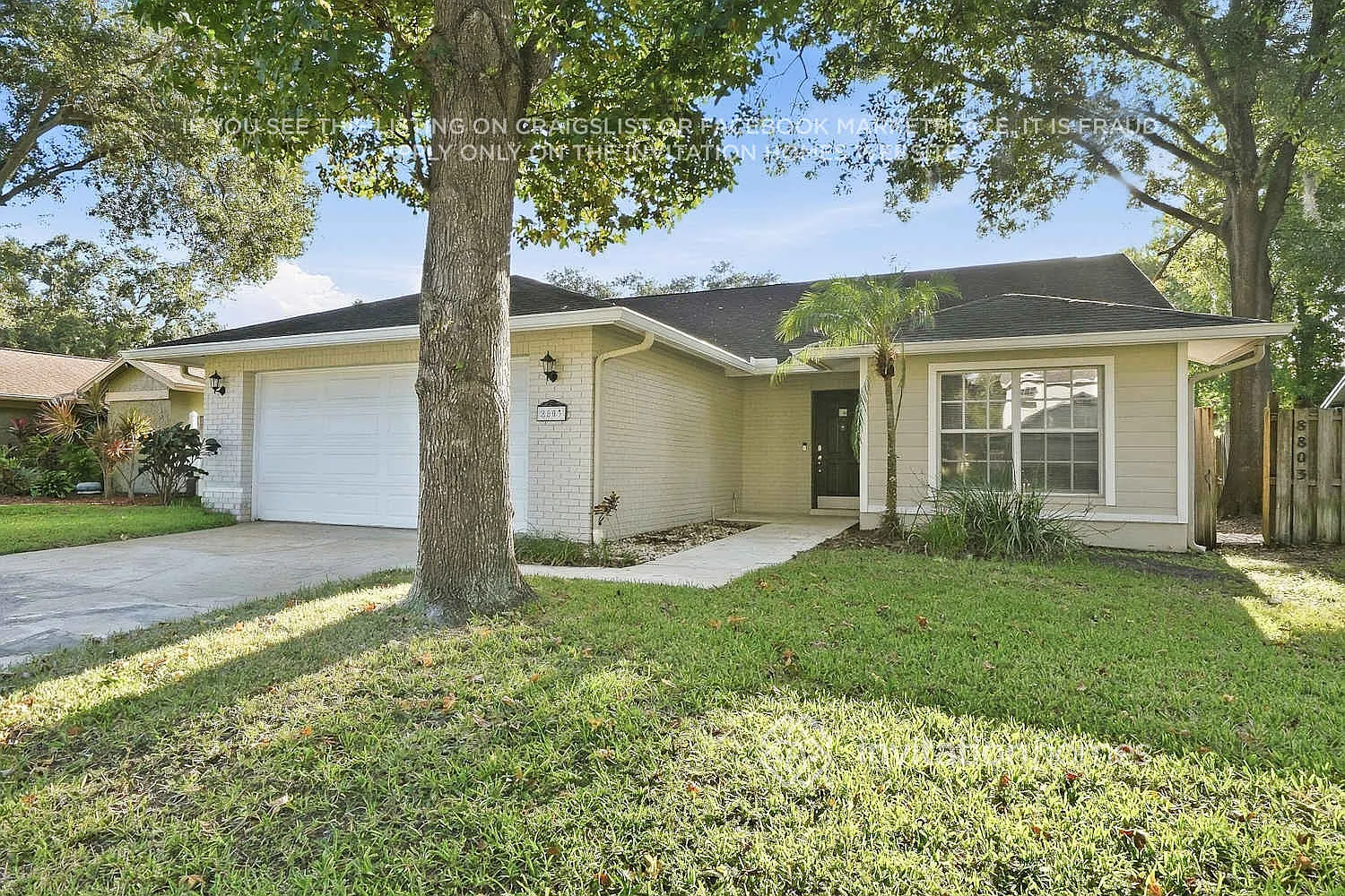 8803 Hampden Dr Tampa, FL 33626 — Photo 2