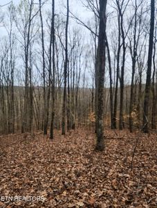 Upper Concord Rd, Ten Mile, TN, 37880