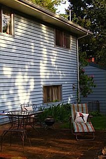 backyard view