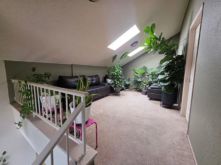 1557 Peter Hurd Dr — Photo 8