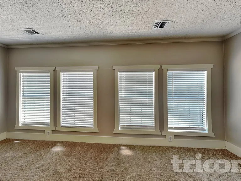 10008 Buffalo Grove Rd — Photo 14