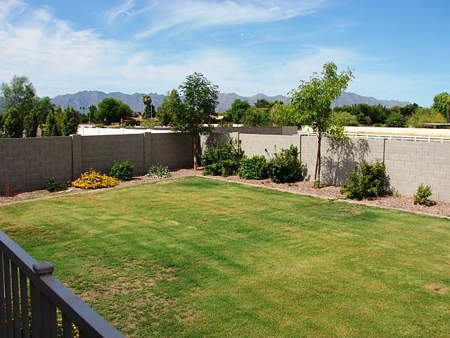 huge back yard with plenty grass and no homes behind