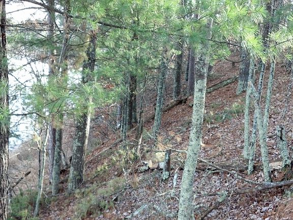 1 of 5 great building sites