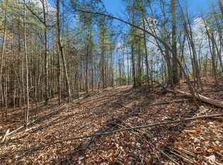 252 S Laceola Rd #252, Cleveland, GA 30528