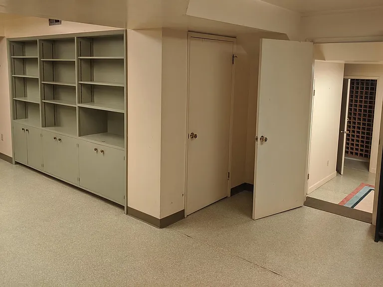 Large basement bonus room for collectors has built in storage and completely encircled in shelf space. Also has huge closet.