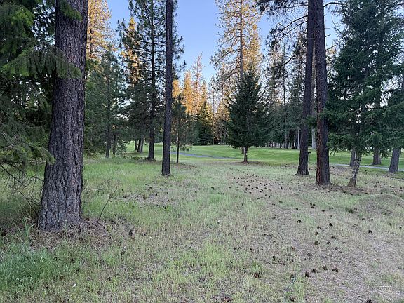5th image of 195 E Trappers Loop