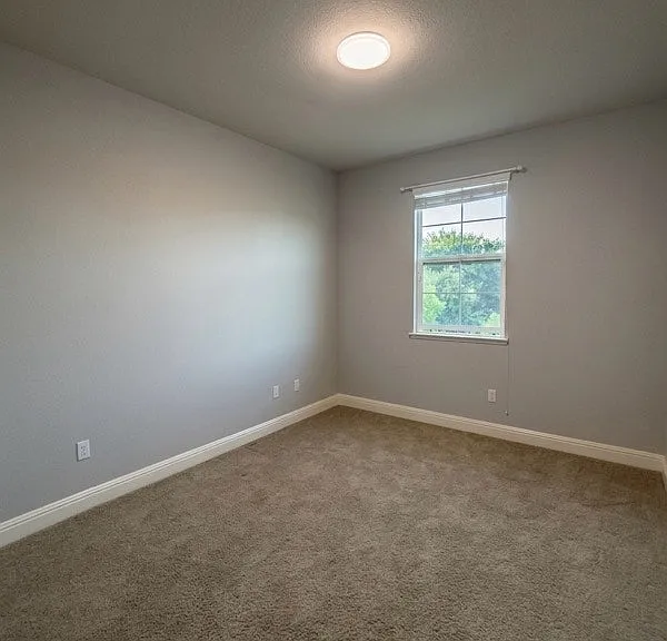 233 Vanney Ct — Photo 14