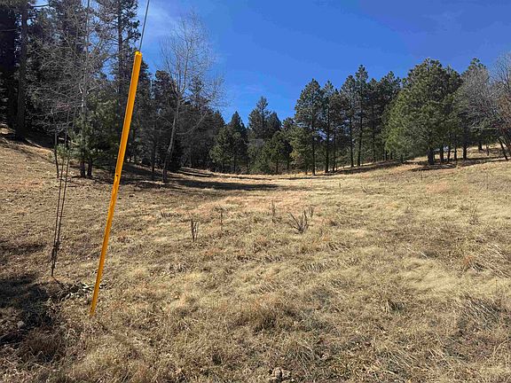 2nd image of Trading Post Rd