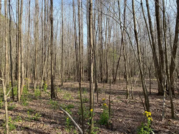 1 Highway 80 W, Lowndesboro, AL 36752