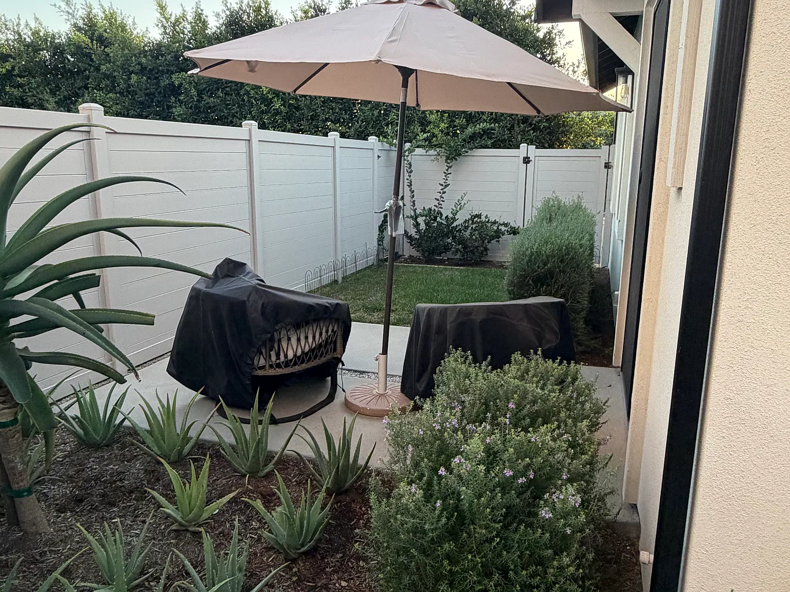 1 bed, 515 sqft, $3,200 — Photo 3