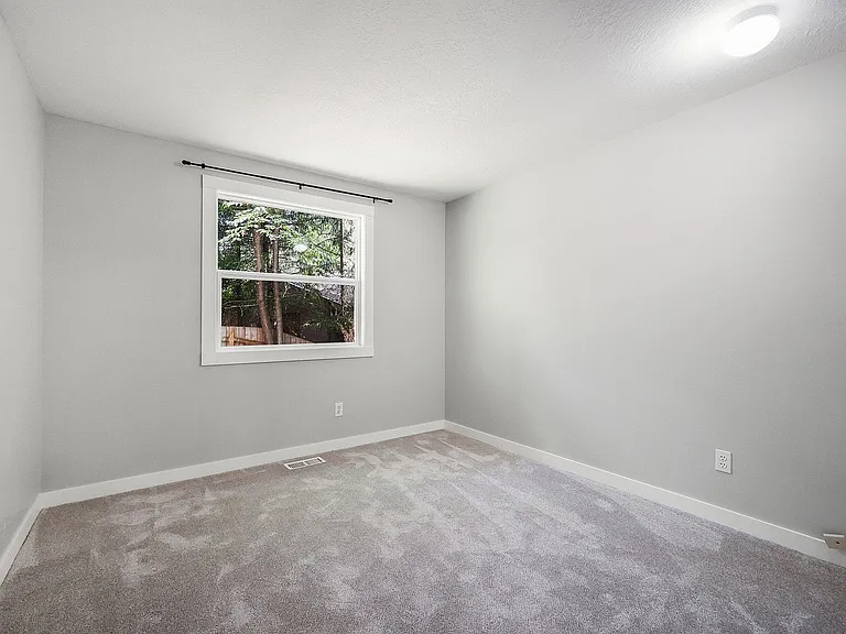 4256 Country Woods Ct — Photo 22