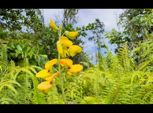 Lemiwai Rd LOT 355, Keaau, HI 96749