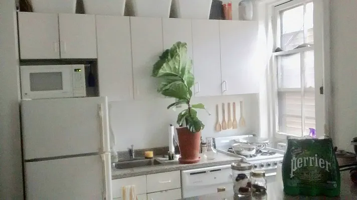 Rented by NY Signature Properties Inc | media 3