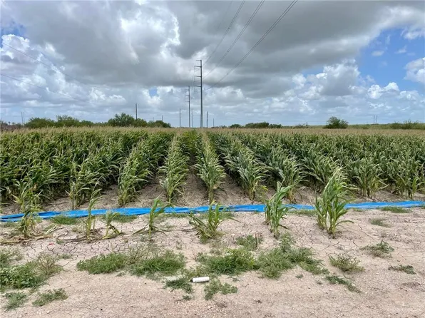 N Gonzalez Rd, Weslaco, TX 78596