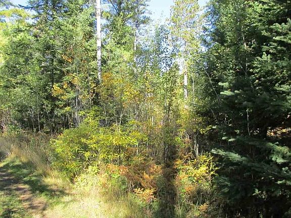 4th image of 1901 Hwy 44