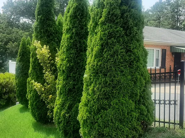 100 Denice Ln, Charlottesville, VA 22901