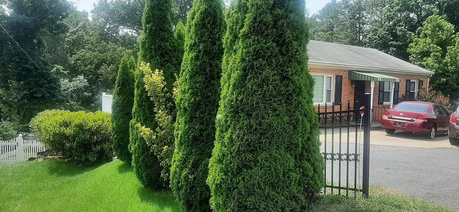 100 Denice Ln photo 1