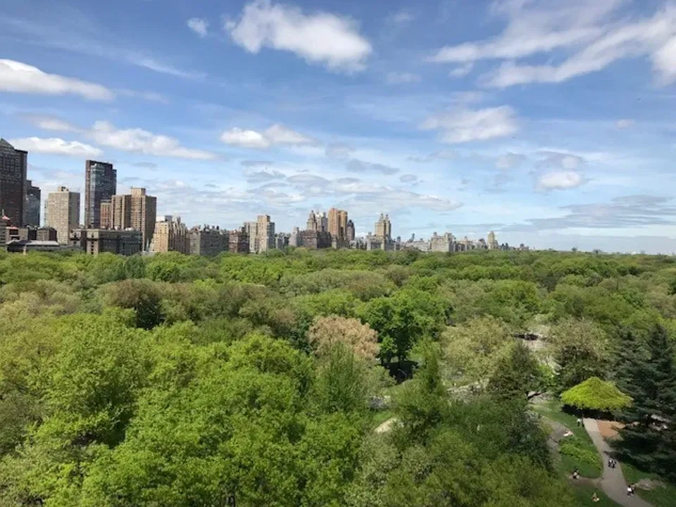 116 Central Park S #10N