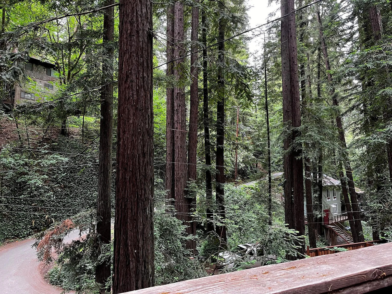 Ice Box Canyon Rd, Forestville — Photo 3