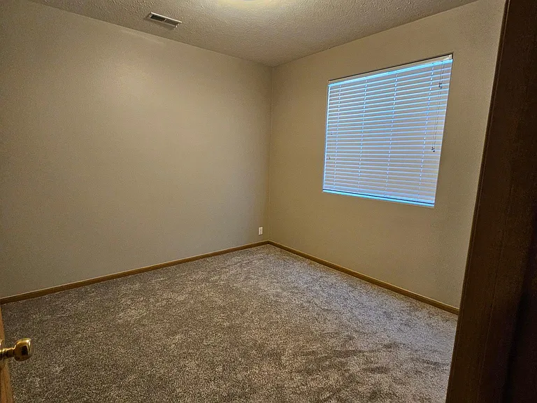 Basement bedroom with closet