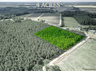 0 County Farm Rd, Blackshear, GA 31516