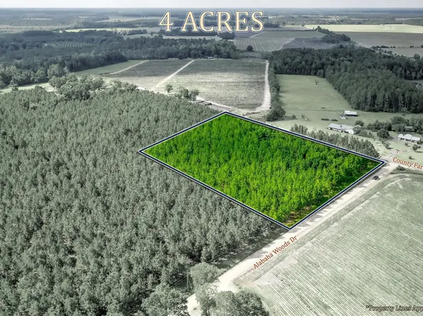 0 County Farm Rd, Blackshear, GA 31516