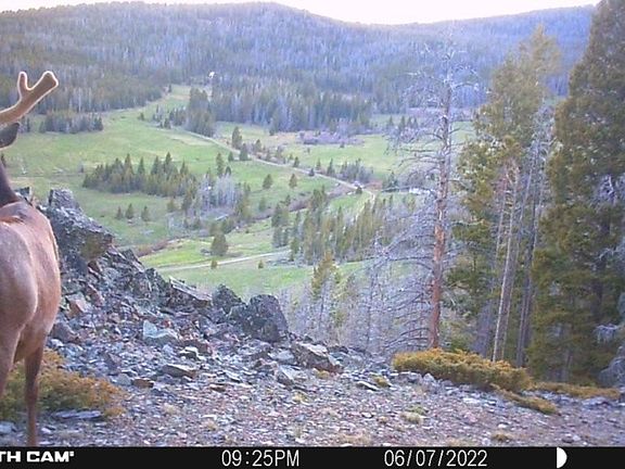2nd image of Indian Creek Rd