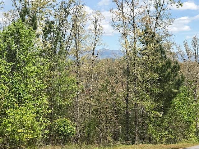 1st image of Lot 29 Brasstown View Road LOT 29