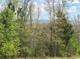 LOT 29 Brasstown View Rd LOT 29, Murphy, NC 28906