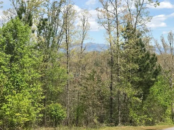Lot 29 Brasstown View Road LOT 29, Murphy, NC 28906