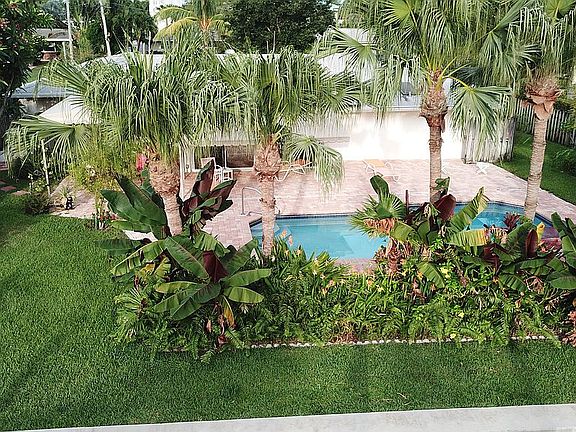 Back yard
