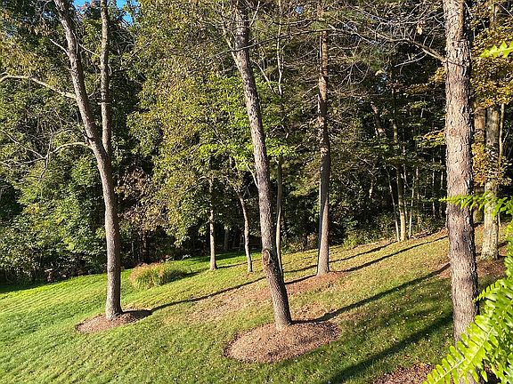 3rd image of 126 Hunter Dr