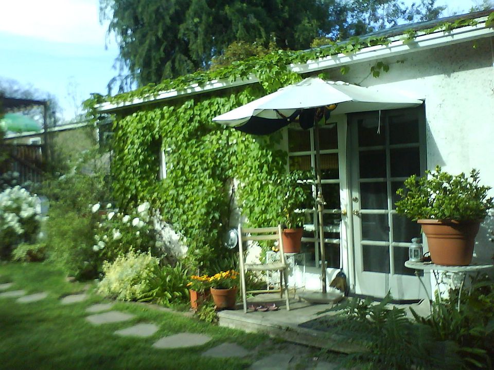 Front of the cottage faces west with a lot of sunlight (shad