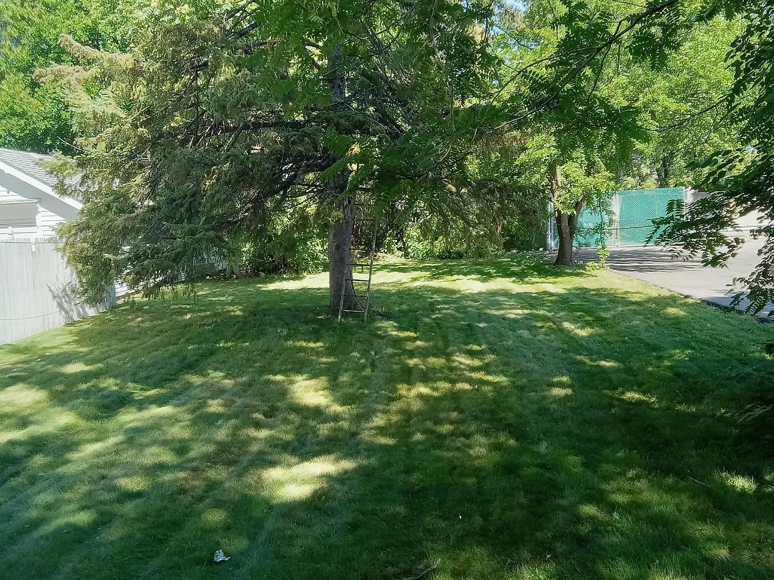 16223 Wilson St — Photo 2