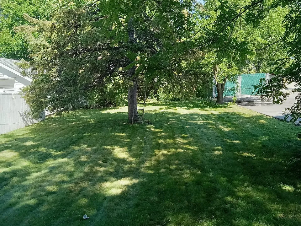 Back yard