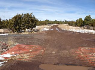 County Road 3139 #2, Springerville, AZ 85938