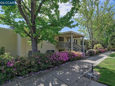 2000 Golden Rain Rd APT 2, Walnut Creek, CA, 94595