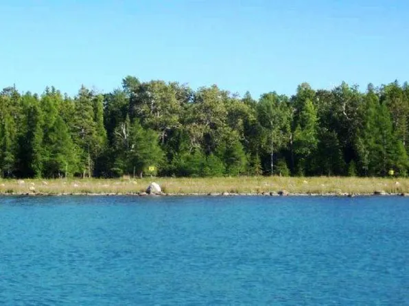 LOT 30 Grape Is, Drummond Island, MI 49726