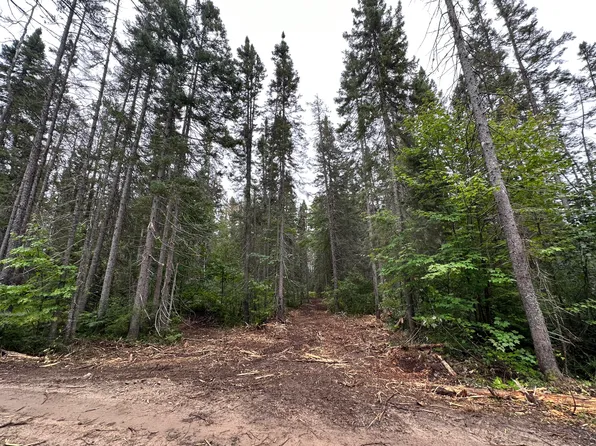 0 Murphy Creek Trl, Newberry, MI 49868